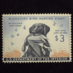 hs&c Scott #RW26 Mint VF LH US Stamp