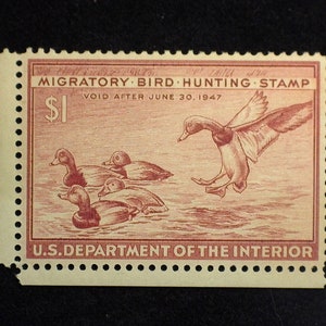 hs&c Scott #RW13 Mint Gum skip. XF NH US Stamp