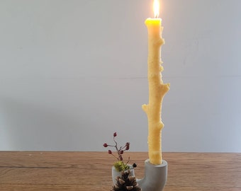 Birch beeswax taper candle Unique Gift Candle Home Decor Candle Gift Rustic Wedding Decor Candle Mother's day gift