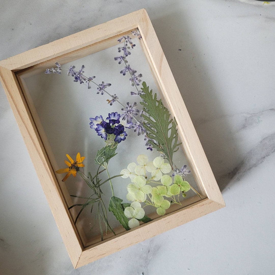 Pressed Flower Floating Frame: Botanical Wall Art, Garden Flowers - Etsy