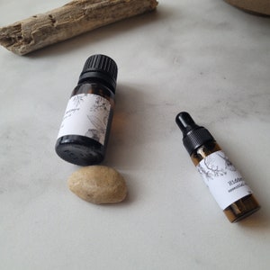 Peut inclure: Deux petits flacons en verre avec des compte-gouttes et des étiquettes. Les flacons sont remplis d'un liquide foncé. Les étiquettes sont blanches avec du texte noir et des illustrations de plantes. Le texte sur l'étiquette du flacon de droite indique "Hidden Essential Oil".