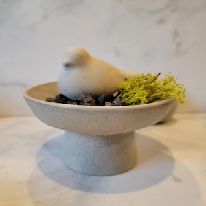 Concrete Pedestal Dish: Essential Oil Diffuser with Lava Stone & Moss