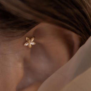 fake anti helix piercing