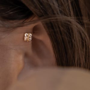 falso piercing anti-elica