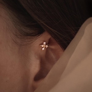 Neppiercing voor de anti-helix.
