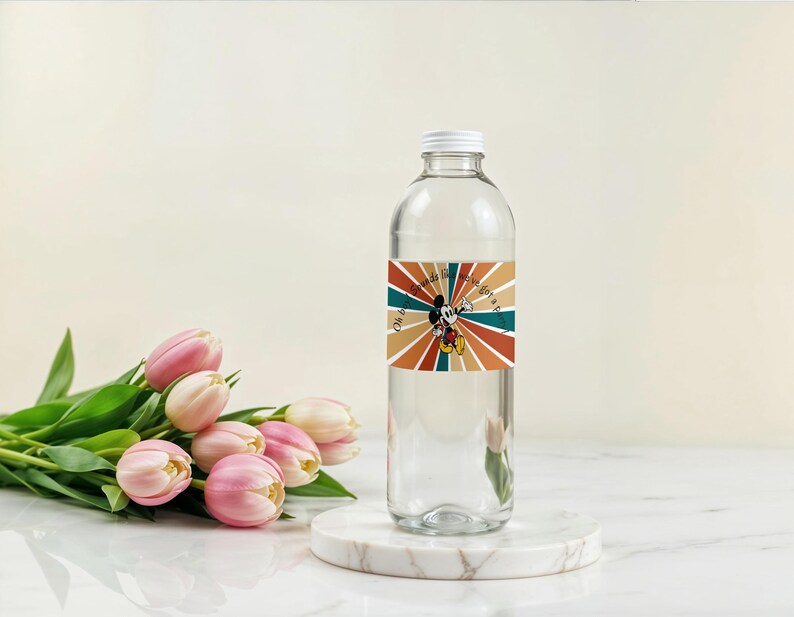 May include: A clear glass water bottle with a white cap and a colorful label featuring Mickey Mouse. The label has a retro design with orange, teal, and brown stripes radiating from Mickey. The text on the label reads "Oh boy, I've got a plan."