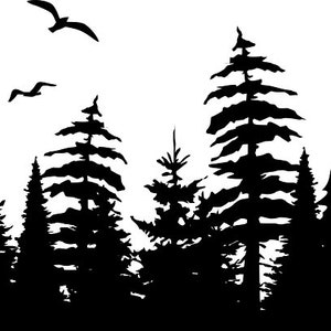 Könnte beinhalten: Silhouette eines Waldes mit hohen Kiefern vor weißem Hintergrund. Die Bäume stehen dicht beieinander und bilden einen dichten, dunklen Wald. Ein paar Vögel fliegen über den Bäumen.