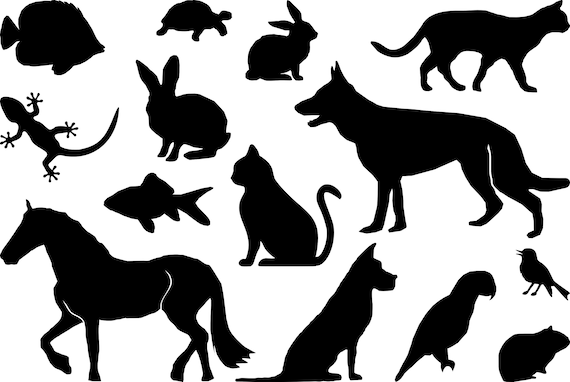 Animal Pets Set Silhouette Outline Svg Eps Png Jpg Etsy