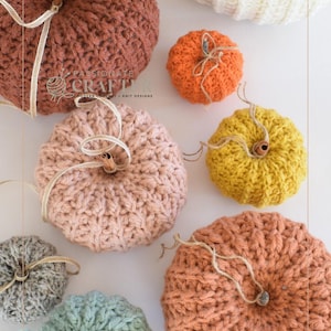 May include: A selection of hand-knitted pumpkins in shades of orange, brown, pink, yellow, and blue. Each pumpkin features a stem and twine detailing. The pumpkins are displayed on a white surface. The website www.passionatecrafter.com is visible.