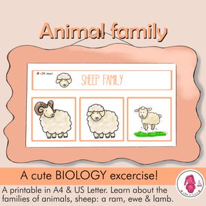 DIEREN Familie; Biologie & Begrijpend lezen • LENTE / voorjaars activiteit • Logopedist • Leraar • Montessori •  Kleuter- Thuis onderwijs