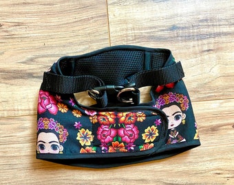 Step in Frida harness