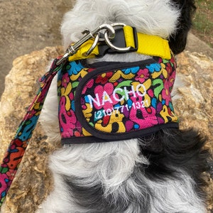 Add your pup’s name to any step in harness