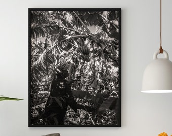 Green Banana Poster | Jamaica Wall Art | Afro Caribbean Art | Black White Photography | Jamaican Printable Art | Jamaica Digital Print