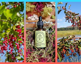 Chokecherry tincture! Double Extraction!