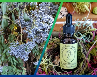 Blue Elderberry tincture! Special Double Extraction!