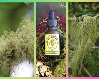 Usnea Lichen Tincture