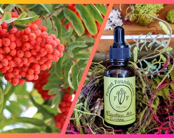 Mountain Ash aka Rowan Tincture!  Double Extraction!