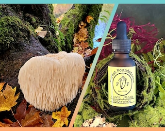 Lions Mane mushroom tincture, 1 oz.