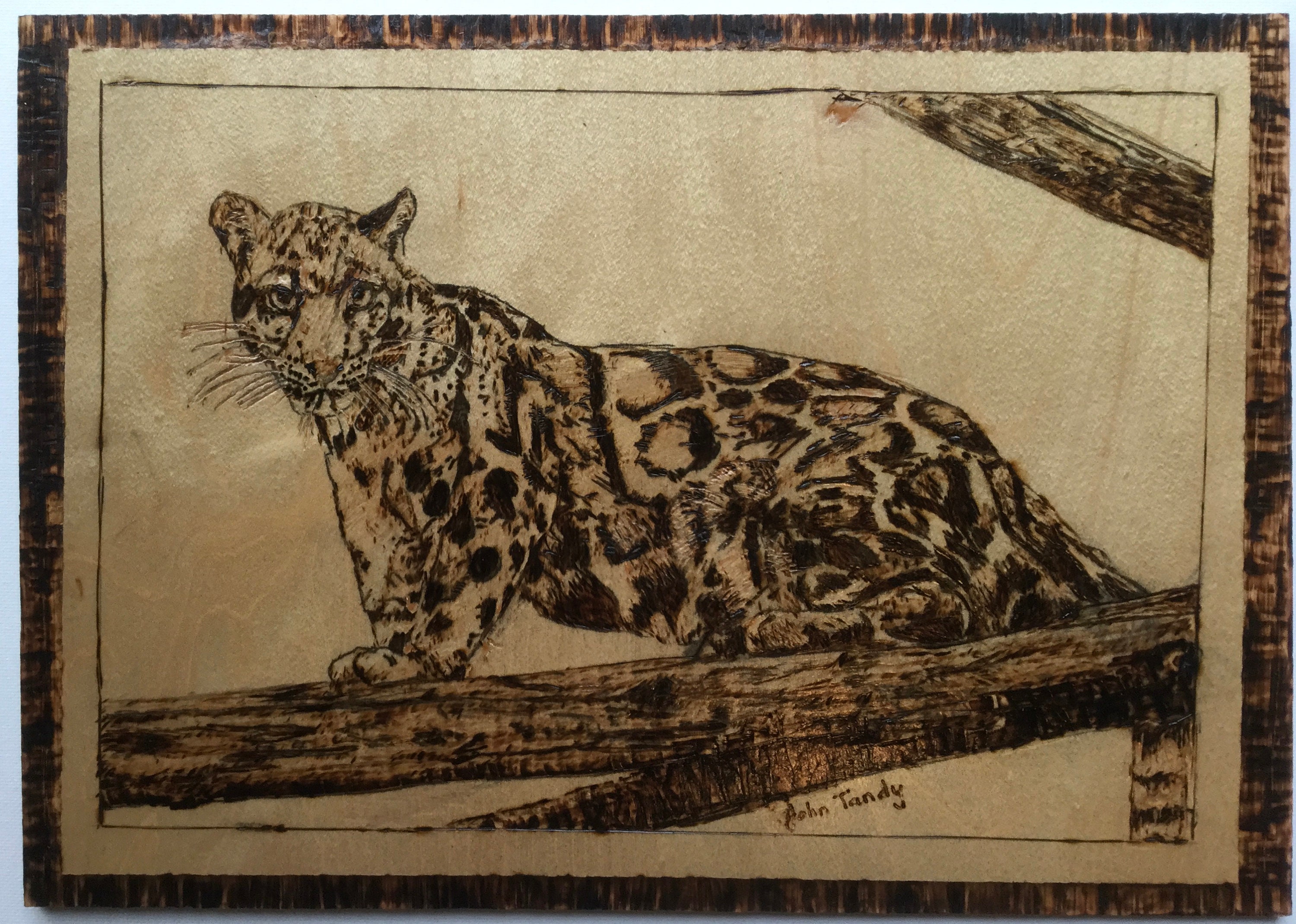 Pyrography of Snow Leopard on maple veneer | Etsy