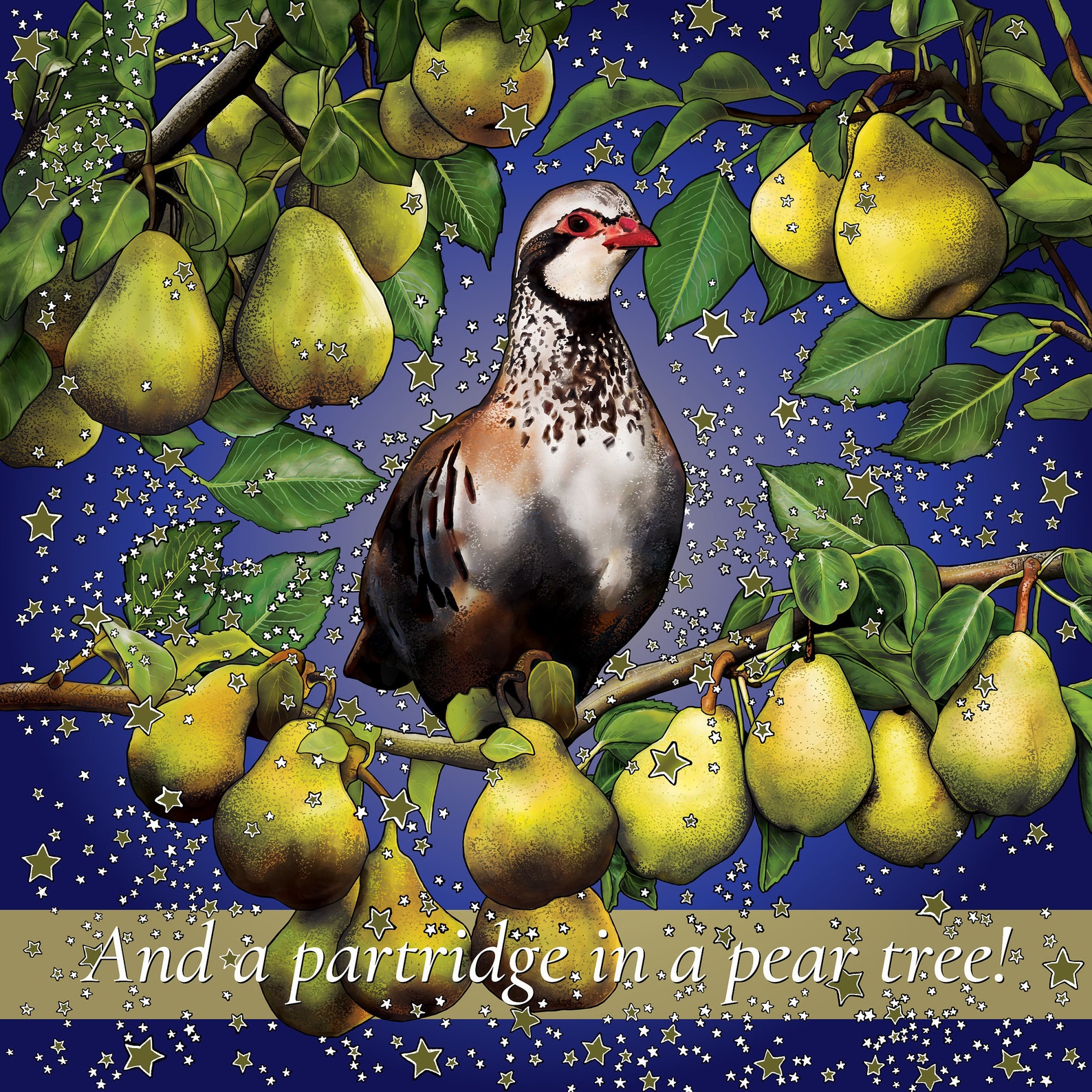 PARTRIDGE in a PEAR TREE by Rachel James - Christmas Card - A Hand ...