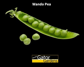 Wando Pea Seeds  Heat-tolerant Non-GMO Heirloom Florida Seeds Zone 9