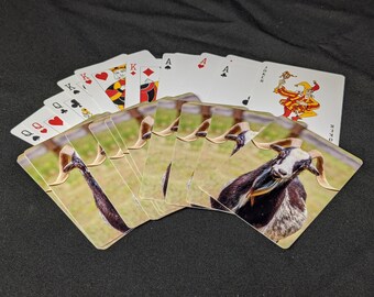 blackjack Deck of cards birthday Greensboro Science Center solitaire Madagascar funny gifts animal lovers poker primates Lemur