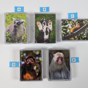 DECK of PLAYING CARDS - Monkey playing cards, Corgi playing cards, Snow monkey playing cards, animal playing cards, Lemur playing cards