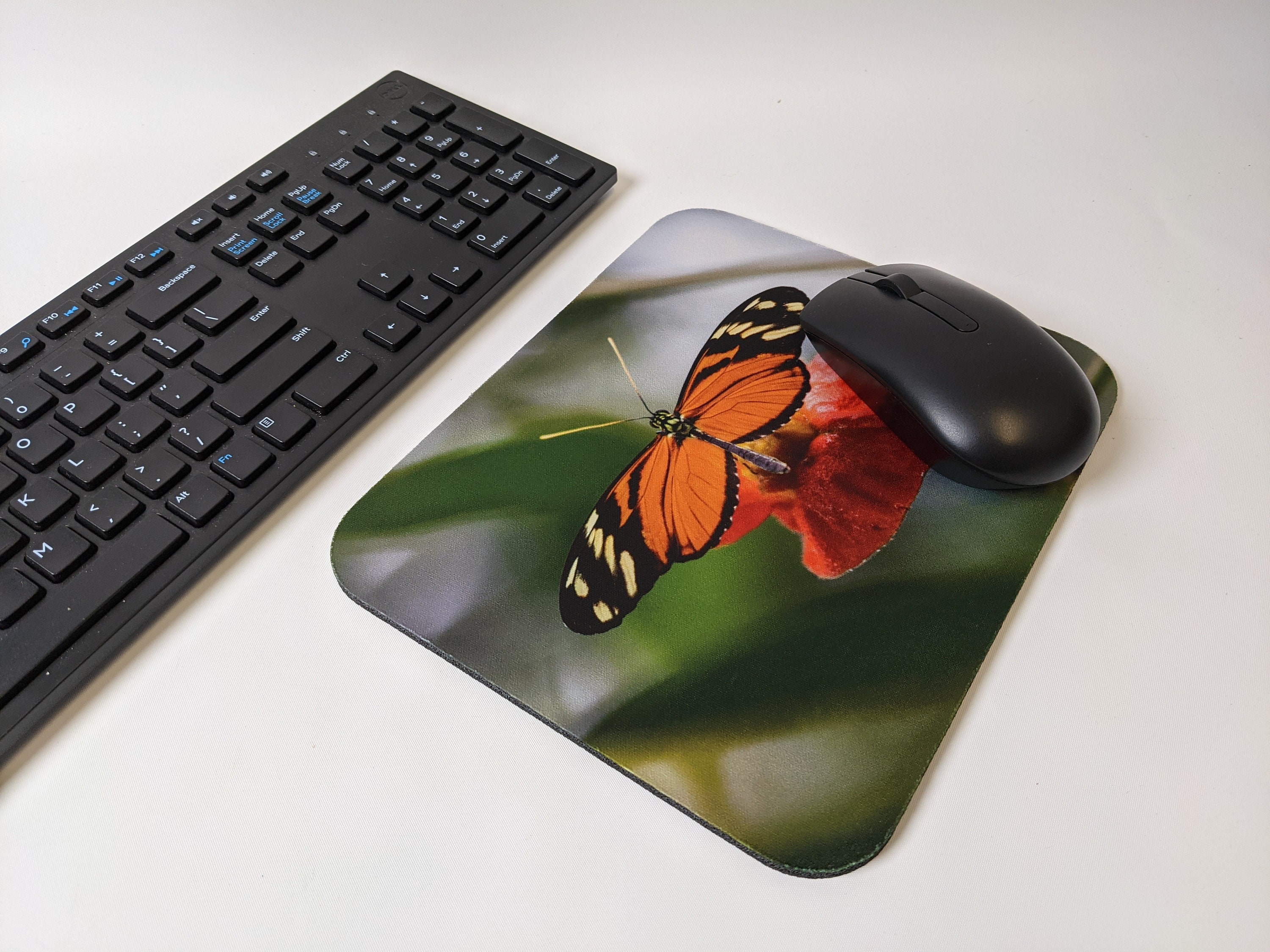 Mousepads Stretching Frog, Red Eyed Tree Frog Mousepads, Costa Rica