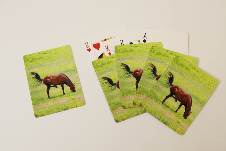 animal photography games Horse tail swinging horse lovers birthday gifts South Dakota Deck of cards animal lovers hobbies poker