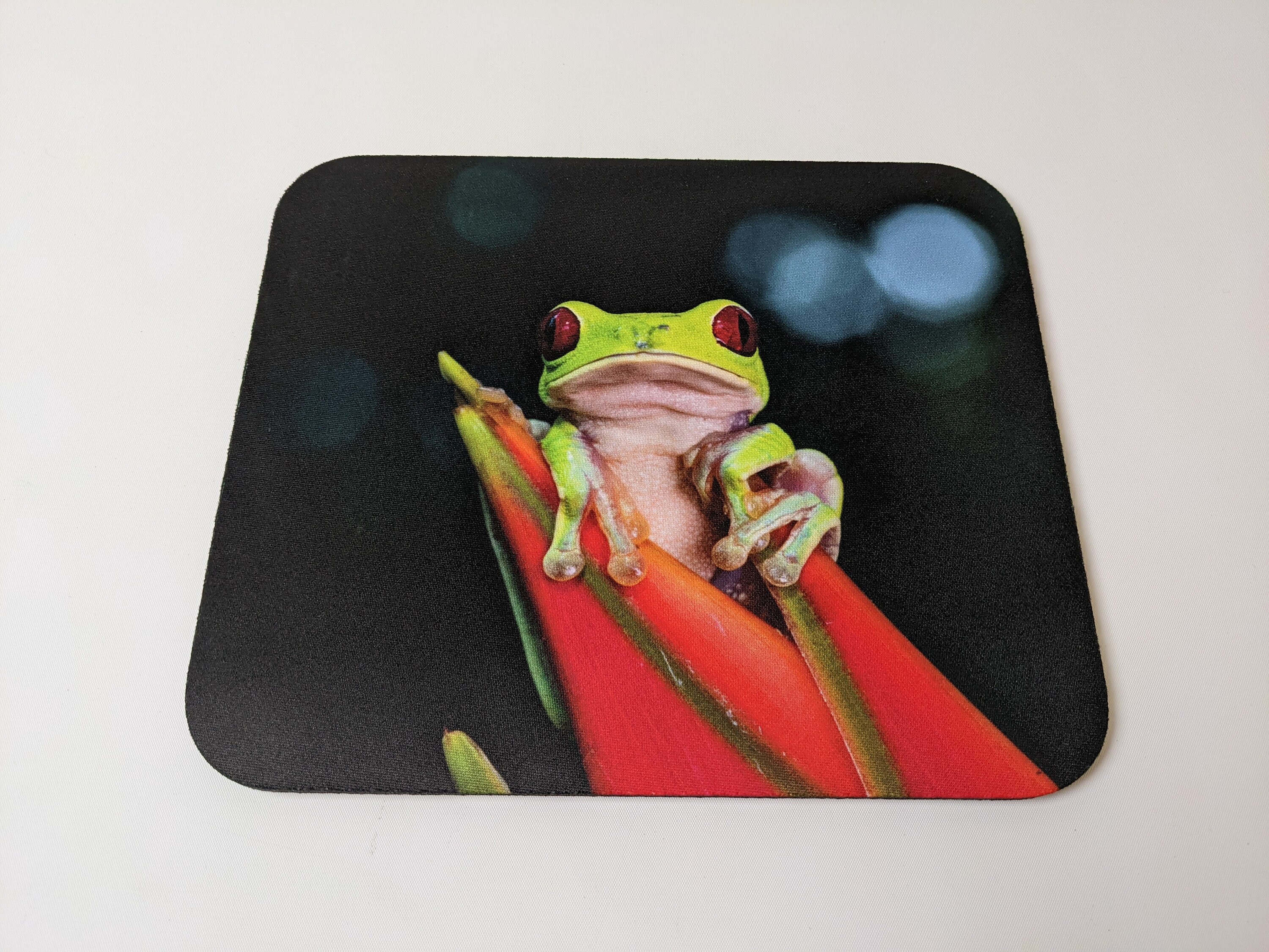Mousepads Stretching Frog, Red Eyed Tree Frog Mousepads, Costa Rica
