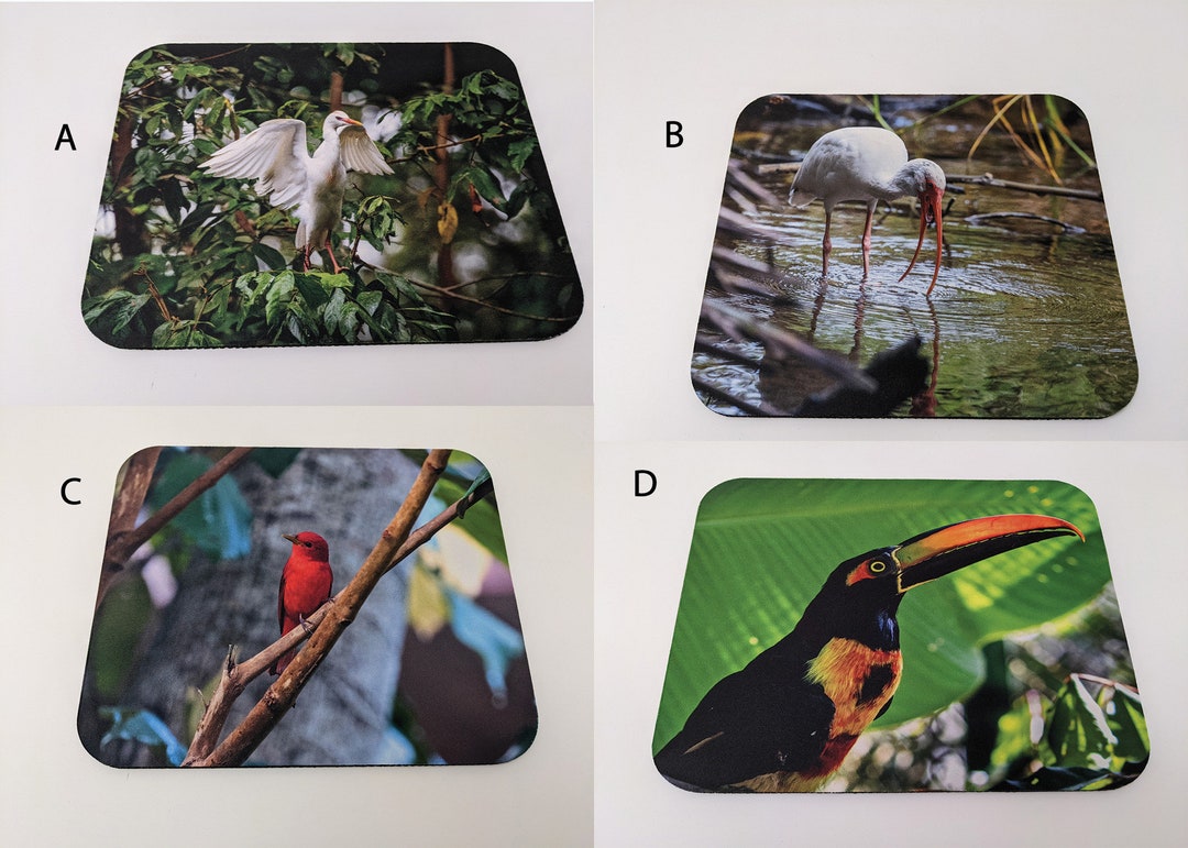 MOUSEPADS Costa Rica Mousepads, Rainforest Animal Mousepads, Ibis
