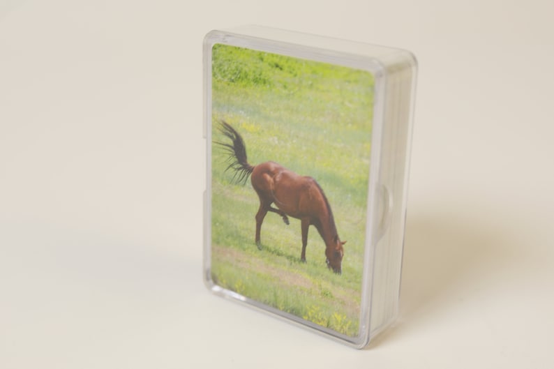 animal photography games Horse tail swinging horse lovers birthday gifts South Dakota Deck of cards animal lovers hobbies poker