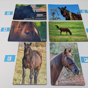 Magnets- Horse magnets, gifts for horse lovers, horse gifts, animal lovers, animal magnets, hobby magnets, horse decor, animal decor
