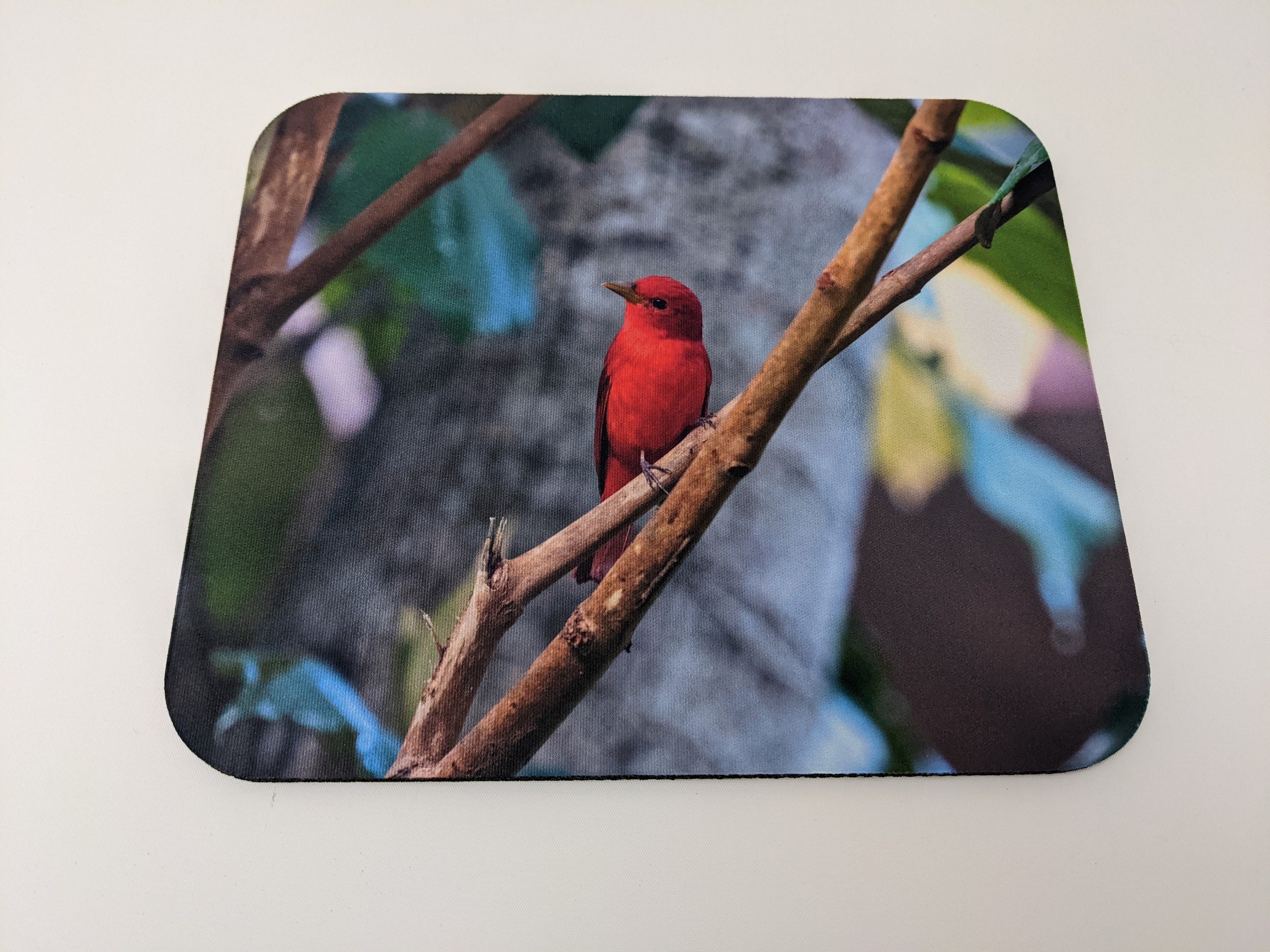 MOUSEPADS Costa Rica Mousepads, Rainforest Animal Mousepads, Ibis