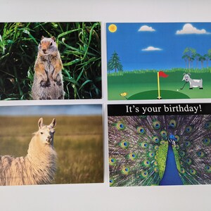 Greeting cards - Funny birthday cards, llama birthday cards, peacock birthday cards, Prairie dog birthday cards, goat birthday cards, golf