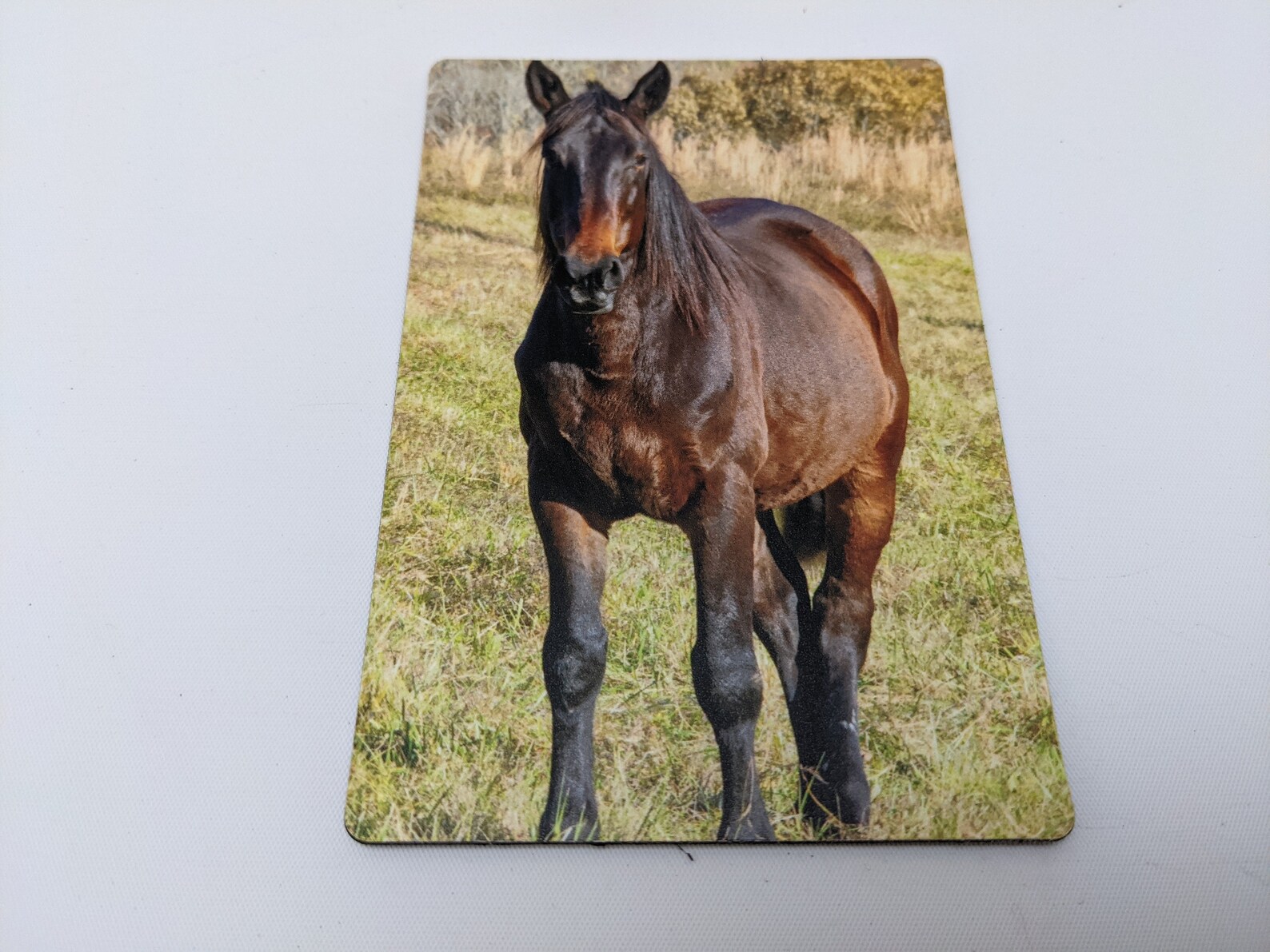 Horse Gifts for Horse Lovers Horse Gifts Etsy New Zealand