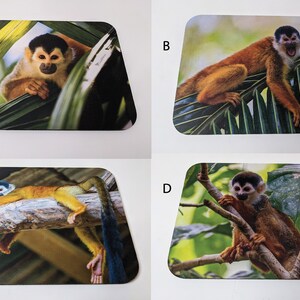 Puede incluir: Cuatro posavasos cuadrados con un primer plano de un mono ardilla en un entorno de selva. Cada posavasos presenta una pose diferente del mono.
