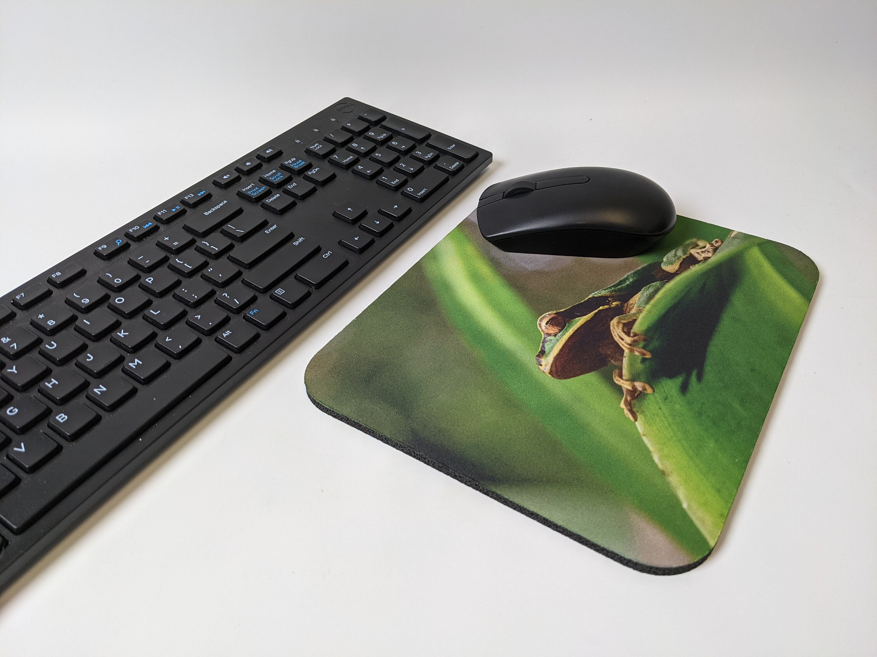Mousepads Stretching Frog, Red Eyed Tree Frog Mousepads, Costa Rica