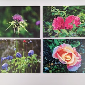 May include: Four floral prints featuring close-up views of various flowers. The prints showcase a purple thistle, vibrant pink peonies, delicate blue anemones, and a peach-colored rose. The images are set against a backdrop of green foliage.