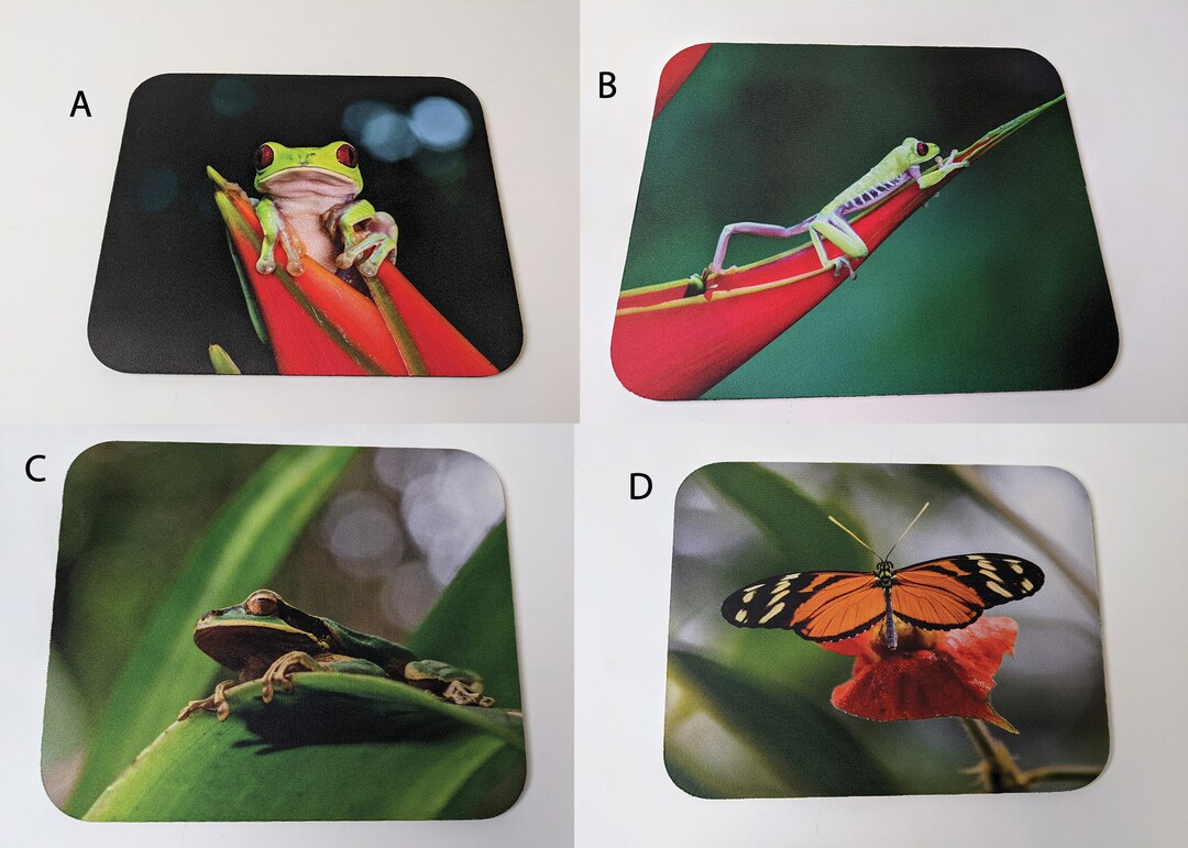 Mousepads Stretching Frog, Red Eyed Tree Frog Mousepads, Costa Rica