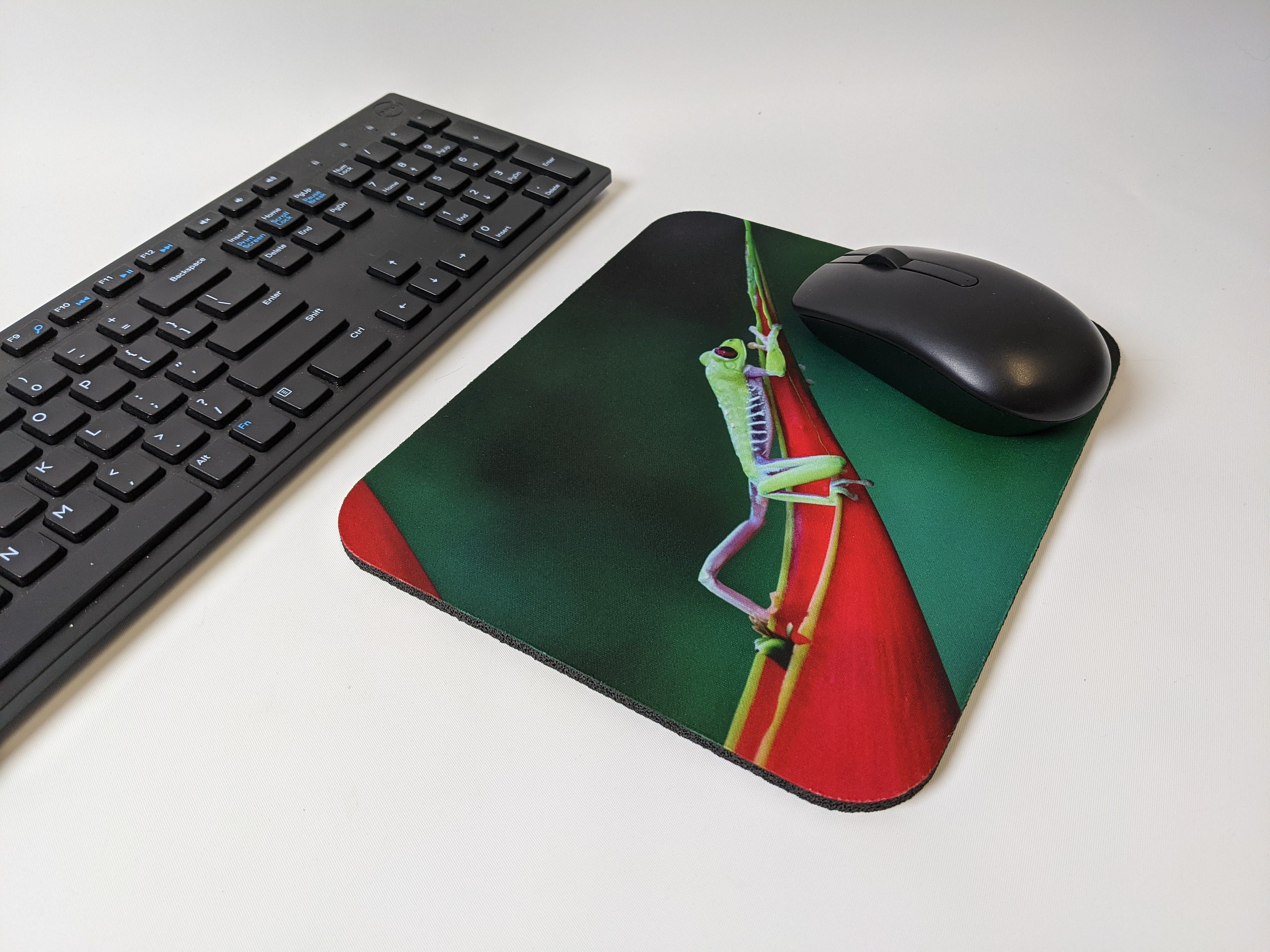 Mousepads Stretching Frog, Red Eyed Tree Frog Mousepads, Costa Rica
