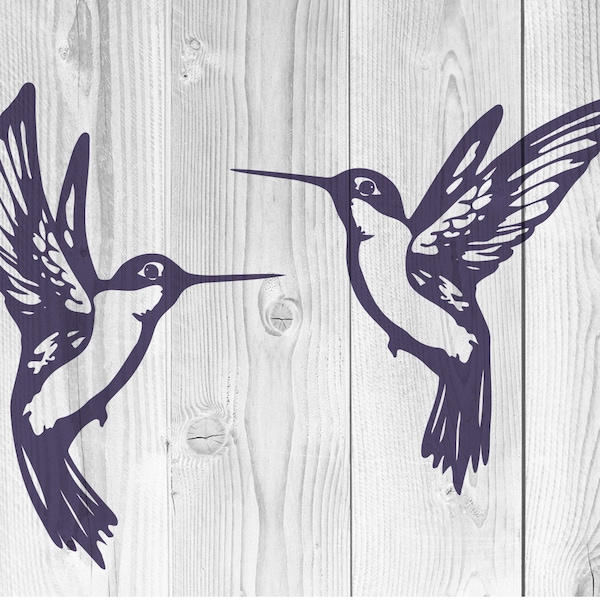 Colibri svg png, Oiseau SVG PNG, Colibris Svg, Humming Bird Cut File For Silhouette, Cricut Machines Svg, Jpg Png, Pdf, Eps