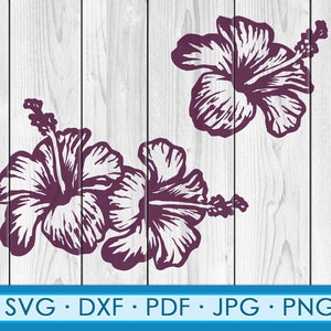 Hibiskus Svg Png, Tropic SVG, tropischen Blumen Svg, Strand Hibiskus geschnitten Datei für Cricut Silhouette Maschinen Svg, Jpg Png, Pdf, Eps