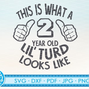 2 Jahre alten Svg, 2. Geburtstag SVG, zweiten Geburtstag Svg, zwei svg Dateien Cricut geschnitten Dateien Clipart für Hemden, Zeichen | Png | Dxf