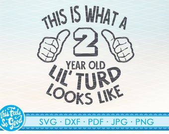 2 años de edad svg, 2o cumpleaños SVG, segundo cumpleaños svg, dos archivos svg cricut cortar archivos clipart para camisas, signos / png / dxf
