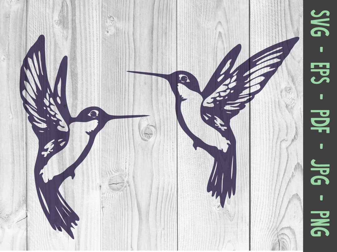 Hummingbird Svg Png, Bird SVG PNG, Hummingbirds Svg, Humming Bird Cut