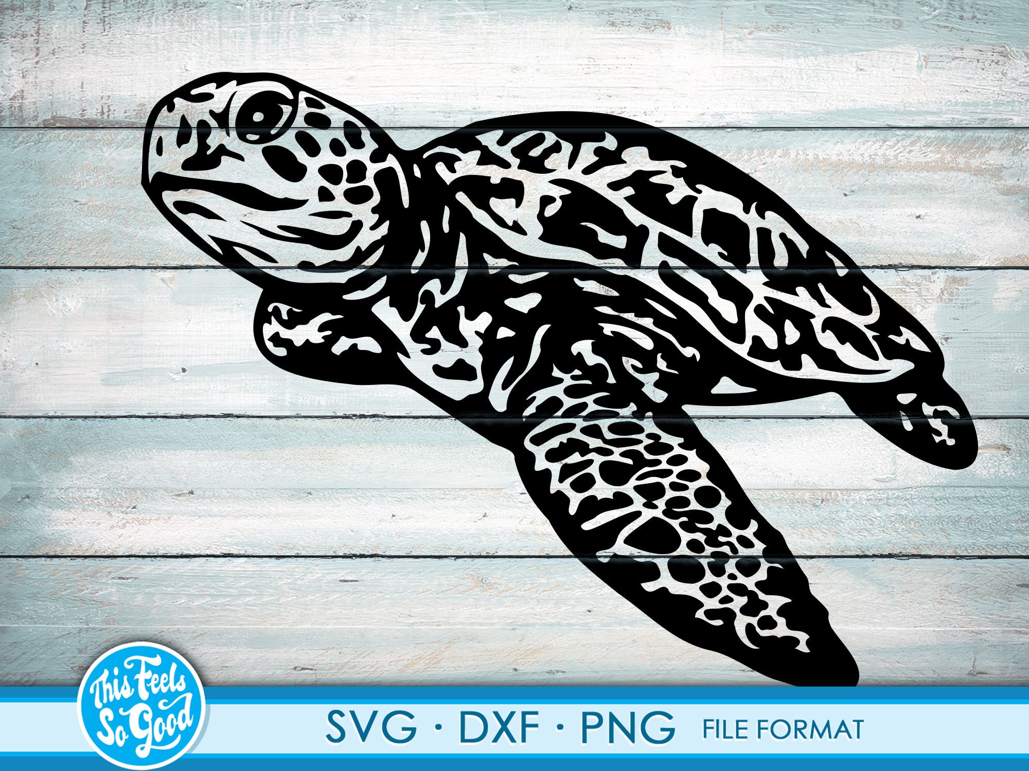 Sea Turtle Svg Seaturtle Svg Files For Cricut Svg Png Dxf Etsy My Xxx