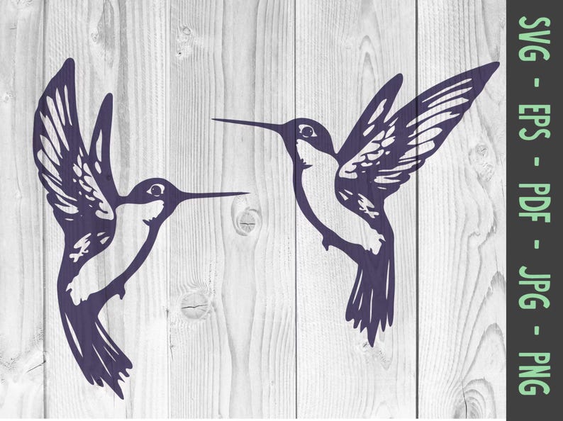 Hummingbird svg png, Hummingbirds svg, Humming Bird Cut File For Silhouette, Cricut Machines Svg, Jpg Png, Pdf, Eps image 1