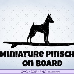 Miniature Pinscher svg, Miniature Pinscher dog svg, dxf clipart. Miniature Pinscher files for Cricut. on Board png svg