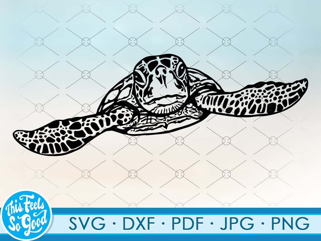 Sea Turtle Svg, Seaturtle Svg, Ocean Svg Files for Cricut. Svg, Png